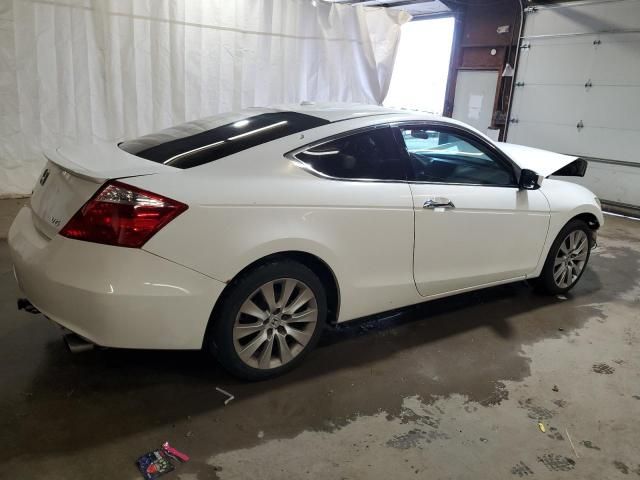 2009 Honda Accord EXL