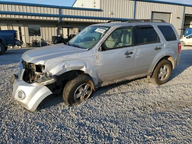 2009 Ford Escape XLT