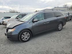 Honda salvage cars for sale: 2016 Honda Odyssey EXL