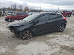 Salvage cars for sale at Lawrenceburg, KY auction: 2014 Ford Focus SE