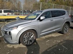 Salvage Cars with No Bids Yet For Sale at auction: 2023 Hyundai Santa FE Calligraphy