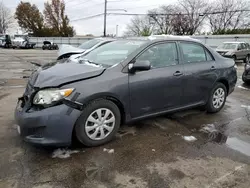 Salvage cars for sale from Copart Moraine, OH: 2009 Toyota Corolla Base