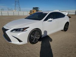 2024 Lexus ES 300H Base en venta en Adelanto, CA