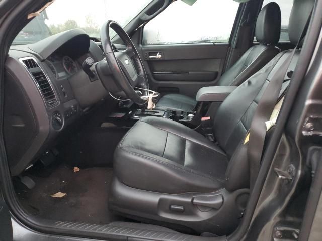 2010 Ford Escape Limited