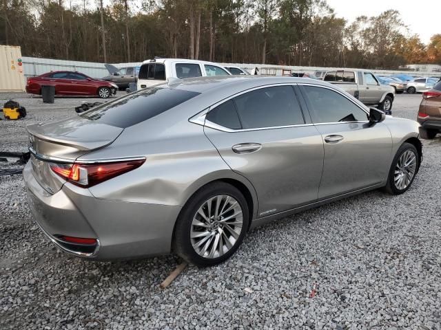 2021 Lexus ES 300H Luxury