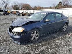 Salvage cars for sale at Grantville, PA auction: 2013 Dodge Avenger SE