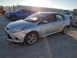 Ford Focus se salvage cars for sale: 2013 Ford Focus SE