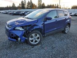 Ford Escape se Vehiculos salvage en venta: 2013 Ford Escape SE