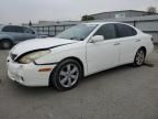 2005 Lexus ES 330