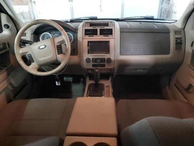 2009 Ford Escape XLT