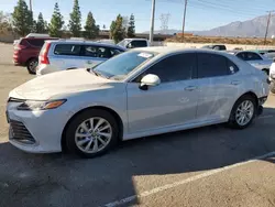 Vehiculos salvage en venta de Copart Rancho Cucamonga, CA: 2023 Toyota Camry LE