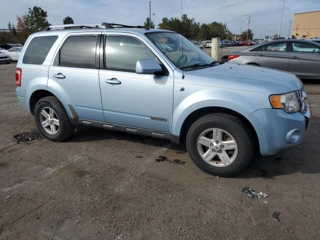 2008 Ford Escape HEV