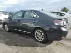 2010 Lexus HS 250H