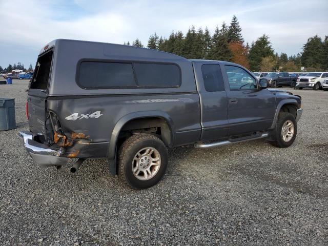 2004 Dodge Dakota SLT