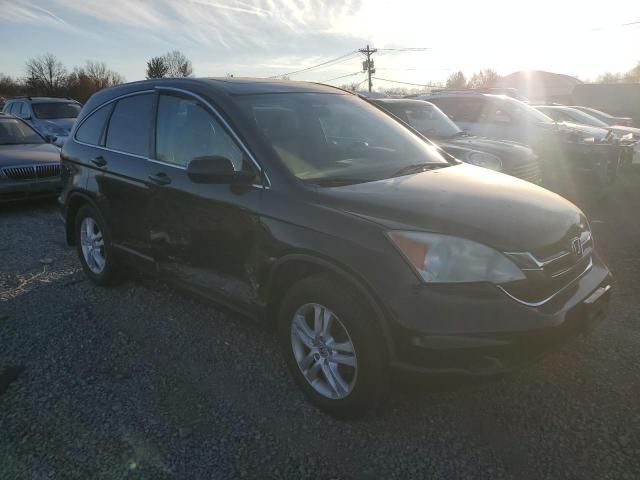 2010 Honda CR-V EXL