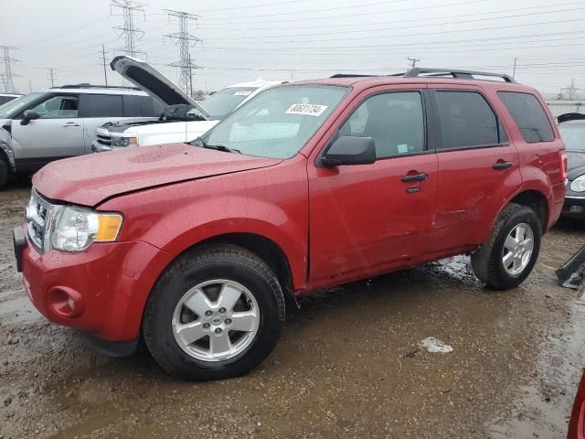 2011 Ford Escape XLT