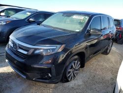 Salvage cars for sale at Arcadia, FL auction: 2020 Honda Pilot EXL