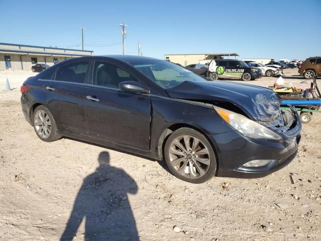 2013 Hyundai Sonata SE