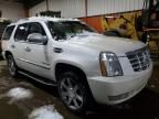 2010 Cadillac Escalade Luxury