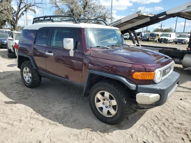 2007 Toyota FJ Cruiser