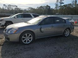 Nissan Maxima salvage cars for sale: 2007 Nissan Maxima SE