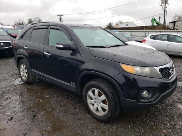 2011 KIA Sorento Base