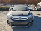 2019 Honda Pilot EXL