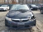 2010 Honda Civic Hybrid