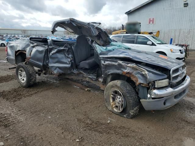 2004 Dodge Dakota SLT