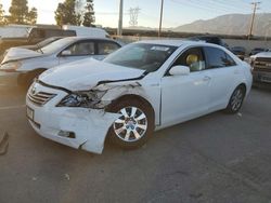 Toyota salvage cars for sale: 2009 Toyota Camry Hybrid