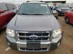 2010 Ford Escape Limited