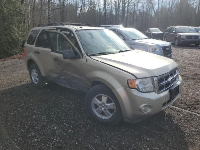 2010 Ford Escape XLT