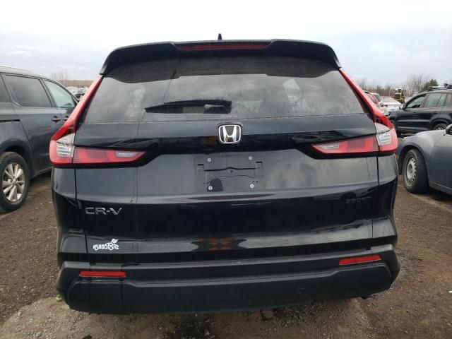 2024 Honda CR-V Sport