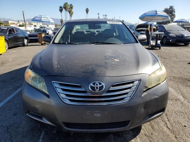 2009 Toyota Camry Hybrid