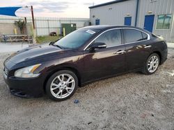 2012 Nissan Maxima S en venta en Arcadia, FL