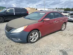 Hyundai salvage cars for sale: 2013 Hyundai Sonata SE