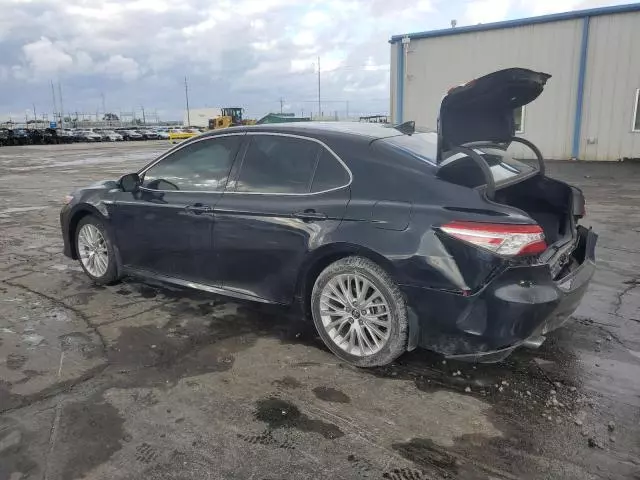 2019 Toyota Camry Hybrid