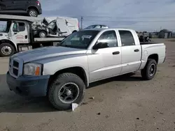 SUV salvage a la venta en subasta: 2007 Dodge Dakota Quattro