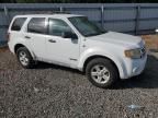 2008 Ford Escape HEV