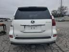 2020 Lexus GX 460 Luxury