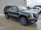 2008 Cadillac Escalade Luxury