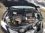 2009 Toyota Camry Hybrid