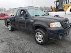 2006 Ford F150