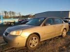 2008 Chevrolet Malibu LT