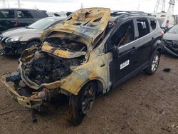 Ford Escape sel salvage cars for sale: 2013 Ford Escape SEL