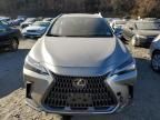 2023 Lexus NX 350H