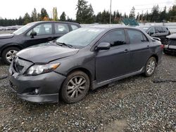 Toyota salvage cars for sale: 2010 Toyota Corolla Base