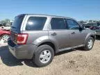 2010 Ford Escape XLS