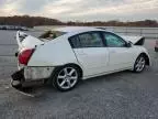 2004 Nissan Maxima SE