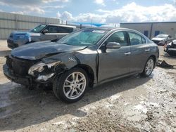 Salvage cars for sale at Arcadia, FL auction: 2011 Nissan Maxima S